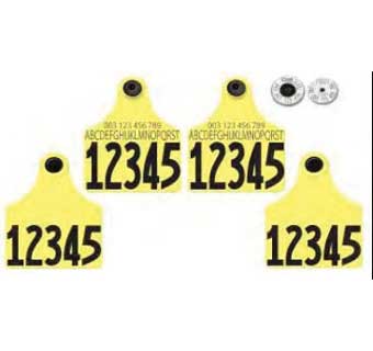 TAMPERPROOF™ HALF DUPLEX MATCHED PAIR SET MAXI 54 LAYOUT