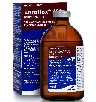 ENROFLOX® 100 (ENROFLOXACIN) INJECTION 100 MG/ML 100 ML 1/PKG (RX)