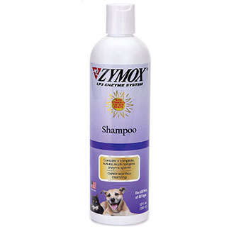 ZYMOX® ENZYMATIC DOG & CAT SHAMPOO 12 OZ 1/PKG