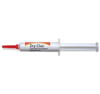 DRY-CLOX® CLOXACILLIN SYRINGE MASTITIS TUBE RX 500 MG/10 ML 144/PKG