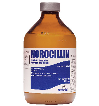 NOROCILLIN® (PENICILLIN G PROCAINE INJECTABLE SUSPENSION) 500 ML 1/PKG