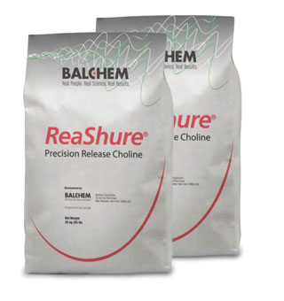 REASHURE® PRECISION RELEASE CHOLINE CHLORIDE 25 KG