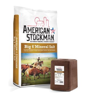 AMERICAN STOCKMAN® BIG 6® MINERAL SALT 96-99% 50 LB