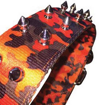 952 BIG DOGG HUNTING SPIKE COLLAR NYLON ORANGE CAMO 1-3/4 IN X 16 IN