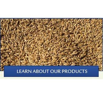 MICROBIAL 25 KG BAG LIGHT BROWN POWDER BAG