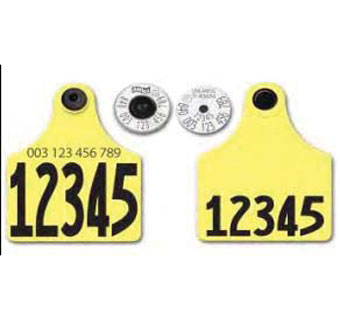 TAMPERPROOF™ HALF DUPLEX MATCHED PAIR SET MAXI 35 LAYOUT