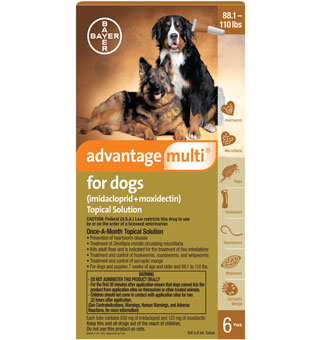 ADVANTAGE MULTI® FOR DOGS 88.1-110 LB # BROWN 6 PACK (AGENCY)