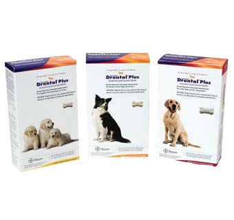 DRONTAL® PLUS ANLMINTIC DEWOR CHW TAB(RX) TASTE TAB® COT 45-120 LB L DOG 30/BX