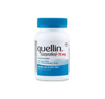 QUELLIN® CARPROFEN SOFT CHEW TABLETS 100 MG 120/BOTTLE (RX)