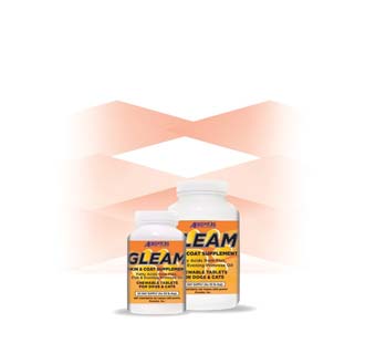 GLEAM® SKIN AND COAT FATTY ACID CHEWABLE TABLETS 60/BT