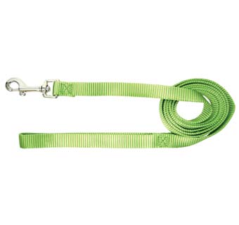 HAMILTON® SLF NYL SGL THICK LEASH WITH SWIVEL S 5/8 IN X 6 FT LIME