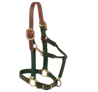 11-15 BACSL LEATHER HALTER WITH ADJ CHIN/SNAP AND CROWN L GREEN