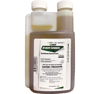 EVERGREEN® PYRETHRUM CONCENTRATE 16 OZ 1/PKG