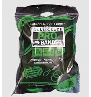 CALLICRATE BANDERS PRO LOOP LATEX BRIGHT GREEN 10 IN FOR PRO BANDER™ 100/BG