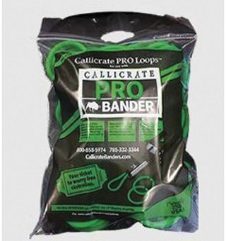 CALLICRATE BANDERS PRO LOOP LATEX BRIGHT GREEN 10 IN FOR PRO BANDER™ 1/PKG