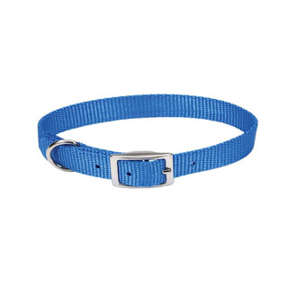 00401 SINGLE-PLY DOG COLLAR NYLON 14 IN X 5/8 IN BLUE LAGOON