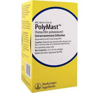 POLYMAST™ INFUSION 10 ML SYRINGE 12/PKG (RX)