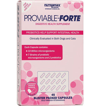 PROVIABLE®-FORTE DOG/CAT DIGESTIVE SUPP CAPSULES 45/BLISTER 4 BLISTER PACK/PKG