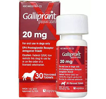 GALLIPRANT® TABLETS 20 MG 30/BOTTLE (RX)