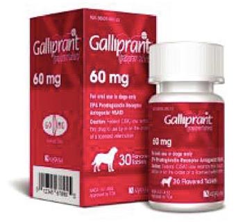 GALLIPRANT® CHEWABLE TABLETS 60 MG 30/BOTTLE (RX)