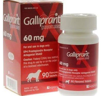 GALLIPRANT® CHEWABLE TABLETS 60 MG 90/BOTTLE (RX)