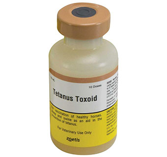 TETANUS TOXOID 10 ML (10 DOSES)