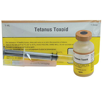 TETANUS TOXOID POUCH 1 DOSE
