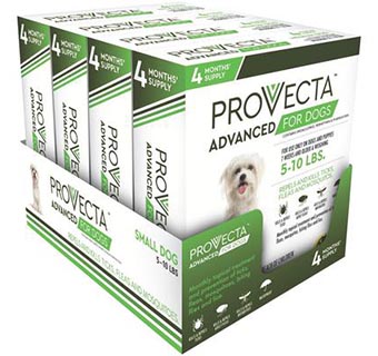 PROVECTA™ ADVANCED FOR DOGS 5-10 LB – GREEN 4 X 4 DOSES/BOX
