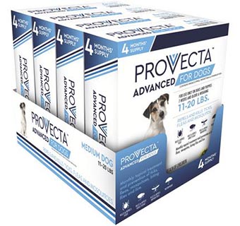 PROVECTA™ ADVANCED FOR DOGS 11-20 LB 11-20 LB – BLUE 4 X 4 DOSES/BOX