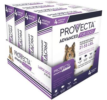 PROVECTA™ ADVANCED FOR DOGS 21-55 LB 21-55 LB – PURPLE 4 X 4 DOSES/BOX