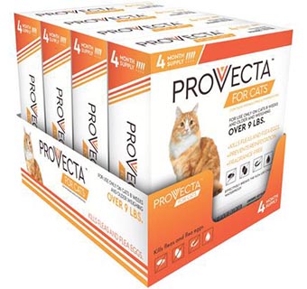 PROVECTA™ FOR CATS OVER 9 LB 4 X 4 DOSES/BOX
