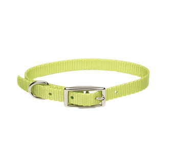 00301 SINGLE-PLY DOG COLLAR NYLON 12 IN X 3/8 IN LIME GREEN