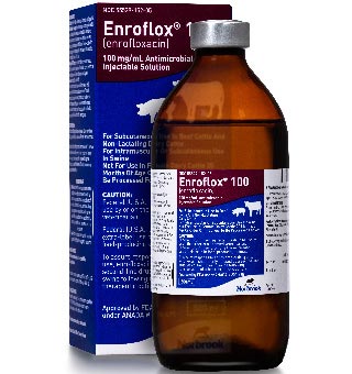 ENROFLOX® 100 (ENROFLOXACIN) INJECTION 100 MG/ML 500 ML 1/PKG (RX)