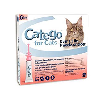 CATEGO™ FOR CATS 1.5LB 6/PKG