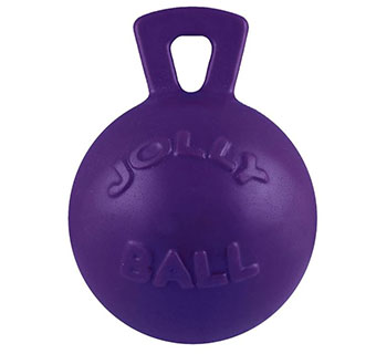 JOLLY PETS® TUG-N-TOSS JOLLY BALL XL 10 IN PURPLE