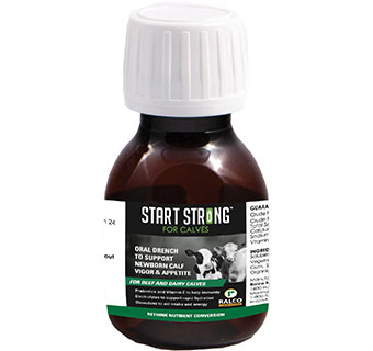 START STRONG® ORAL DRENCH FOR BEEF AND DAIRY CALVES 60 ML 1/PKG