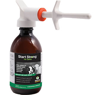 START STRONG® ORAL DRENCH FOR BEEF AND DAIRY CALVES 250 ML 1/PKG