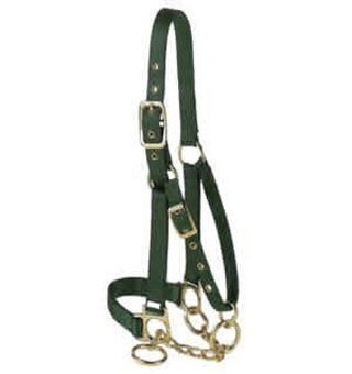 17 P NYLON COW CONTROL HALTER WITH CHAIN 1 IN HUNTER GREEN