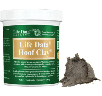 HOOF CLAY® ANTIMICROBIAL PACK 10 OZ