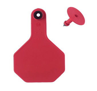 ALL-AMERICAN® 2-PIECE 3-STAR COMBO BLANK TAG MED RED 25/PKG