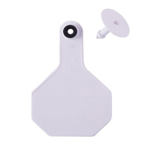 ALL-AMERICAN® 2-PIECE 3-STAR COMBO BLANK TAG MED WHITE 25/PKG