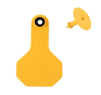 ALL-AMERICAN® 2-PIECE 2-STAR SMALL COMBO BLANK TAG S YELLOW 25/PKG