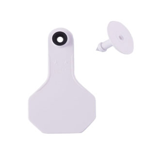 ALL-AMERICAN® 2-PIECE 2-STAR SMALL COMBO BLANK TAG S WHITE 25/PKG