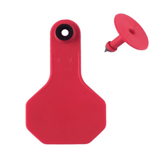 ALL-AMERICAN® 2-PIECE 2-STAR SMALL COMBO BLANK TAG S RED 25/PKG
