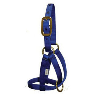 GHB NYLON BILLY GOAT HALTER GREEN