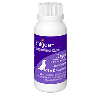 ENTYCE® FLAVORED ORAL SOLUTION FOR DOGS 30 ML 1/PKG (RX)