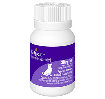 ENTYCE® FLAVORED ORAL SOLUTION FOR DOGS 15 ML 1/PKG (RX)