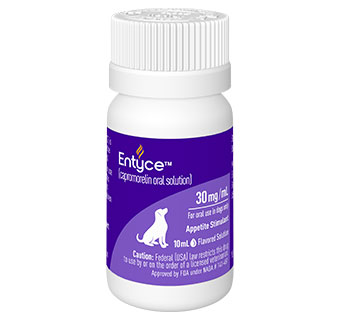 ENTYCE® FLAVORED ORAL SOLUTION FOR DOGS 10 ML 1/PKG (RX)