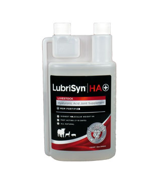 LUBRISYN® HA PLUS LIVESTOCK JOINT SUPPLEMENT W/ MSM 1 QUART 1/PKG