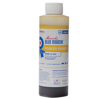 POWER PUNCH™ ENERGY DRENCH 8 OZ 1/PKG